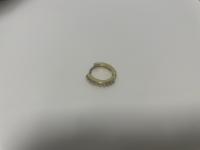 CS714/2024 GOLD EARRING